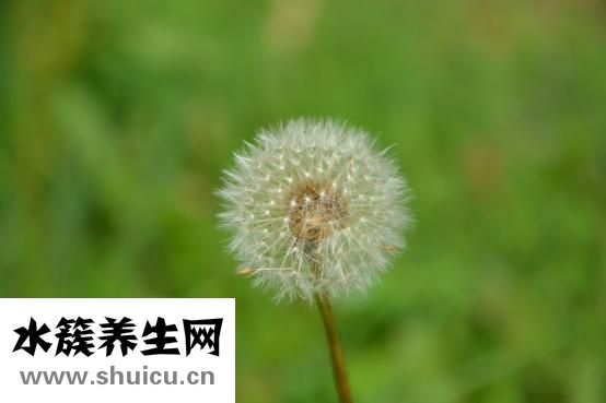 小孩口腔潰瘍怎么辦