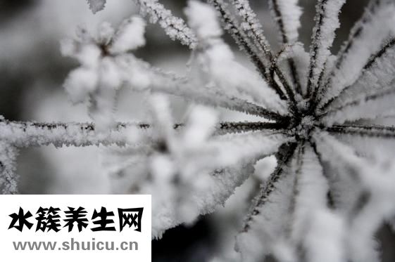 手腳冰冷是什么原因