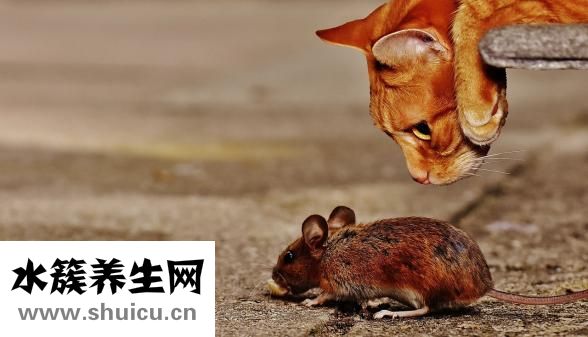 上吐下瀉是怎么回事