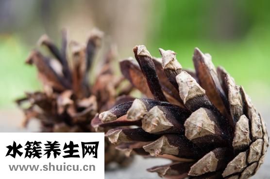 什么是甲狀腺結節