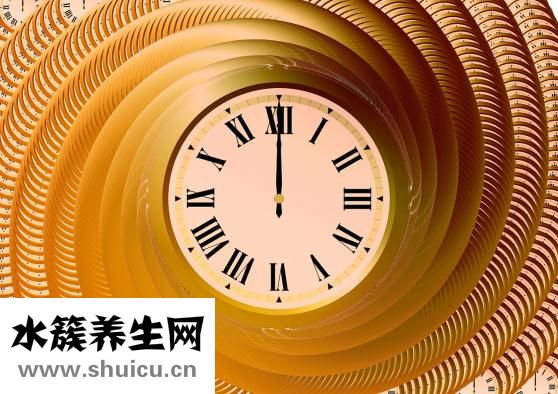 萬金油是什么意思