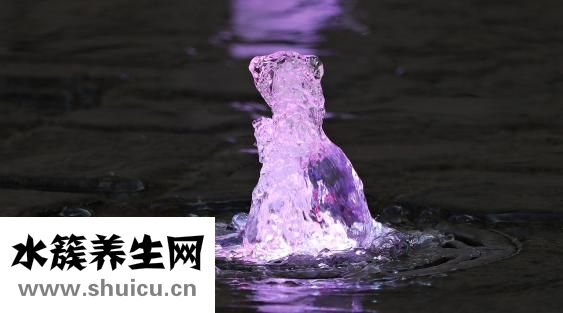 產后便秘怎么辦