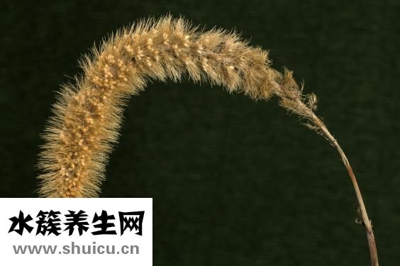 頭發(fā)出油厲害怎么辦