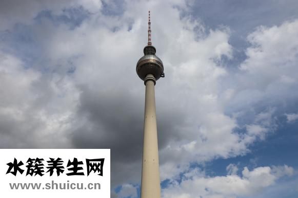 動物是怎么睡覺的