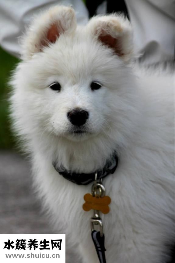 吃什么容易流產