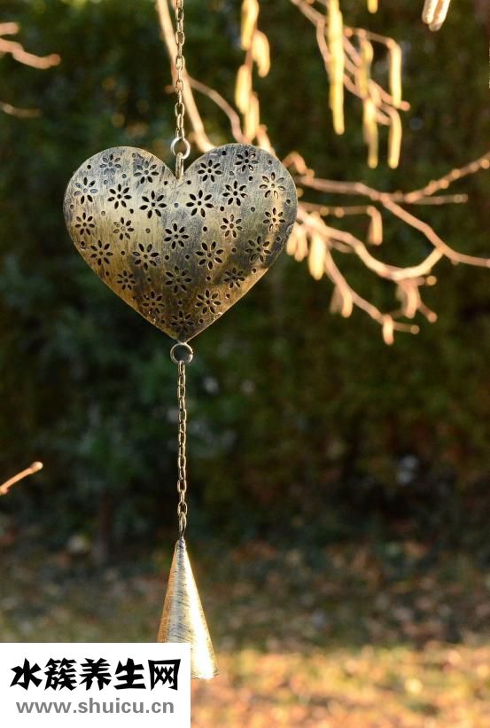 心肌炎是怎么引起的