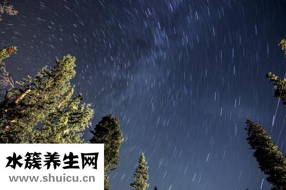 處男是什么意思