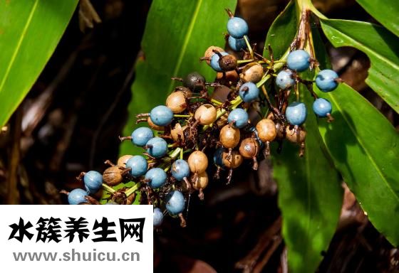 孕婦感冒了怎么辦