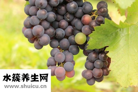 乳腺增生不能吃什么