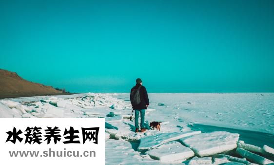 宿命是什么意思