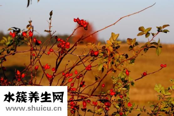 寶寶紅屁股怎么辦