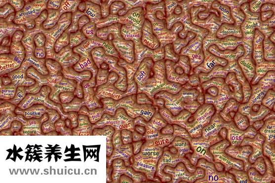 驚厥是什么意思