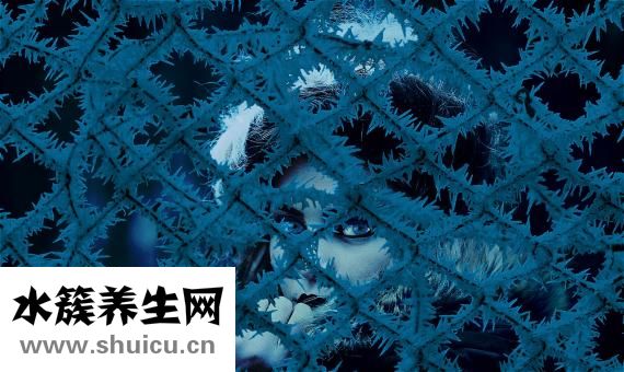 手腳冰冷是什么原因