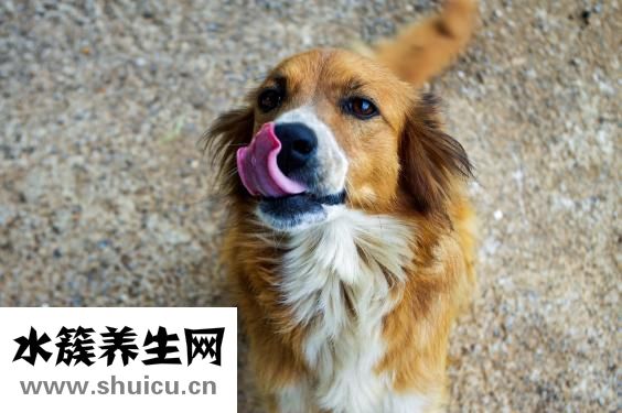 假體隆鼻能保持多久