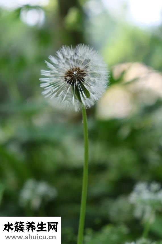 小孩口腔潰瘍怎么辦