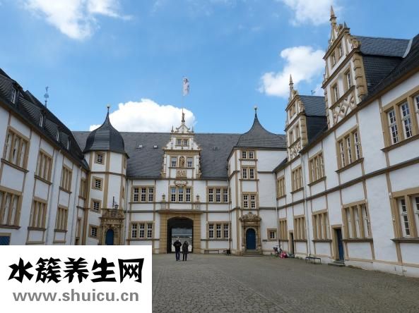 心火旺吃什么藥