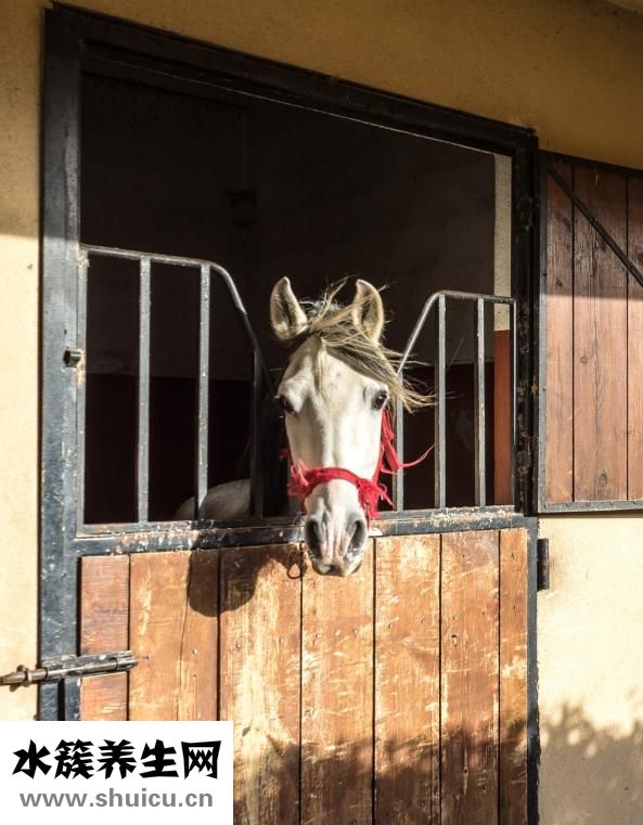 寶寶紅屁股怎么辦