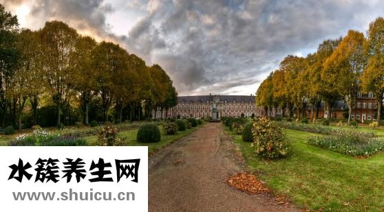 偏執是什么意思