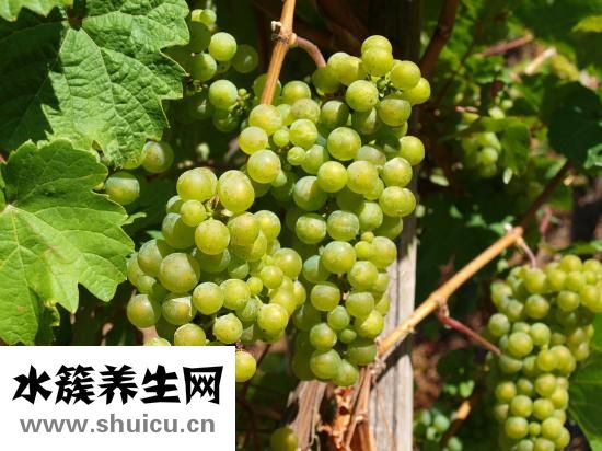 乳腺增生不能吃什么