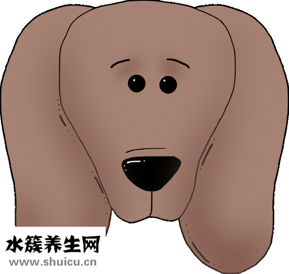 坐飛機(jī)耳朵疼怎么辦