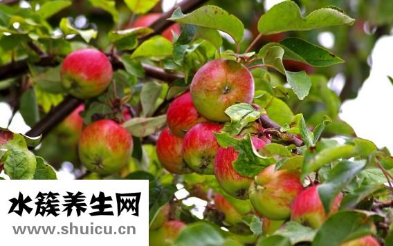 不停打嗝怎么辦