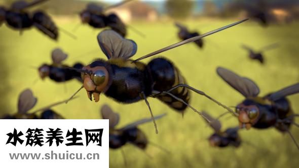 喉嚨有痰怎么辦