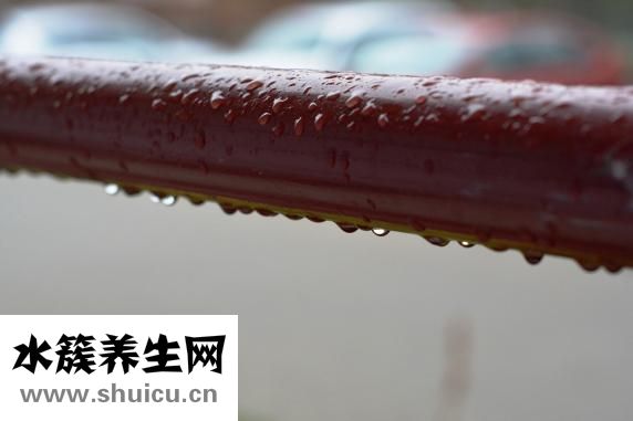 小孩發燒怎么辦