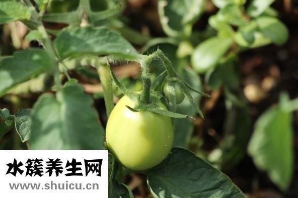 怎么治療黑眼圈