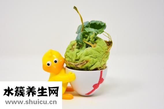 大頭菜怎么做好吃