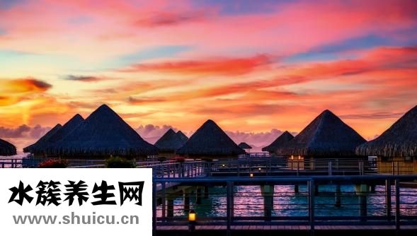 撲街是什么意思