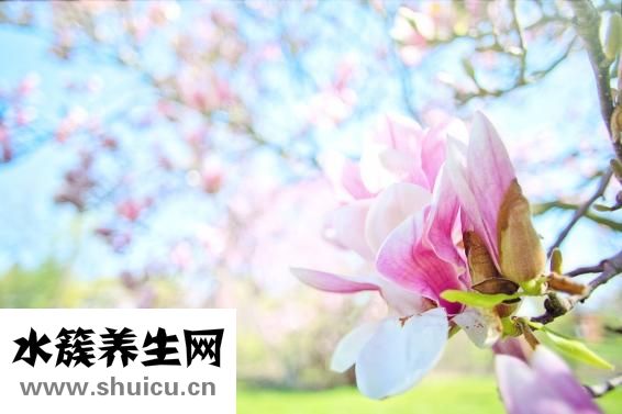 患得患失什么意思