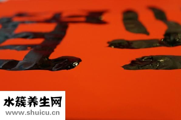 情商是什么意思