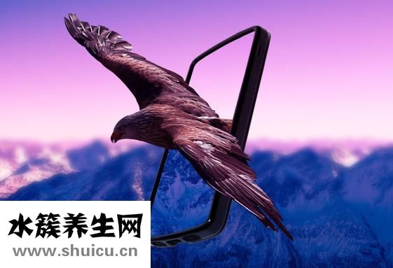 上吐下瀉怎么辦