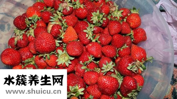 產婦可以吃什么水果