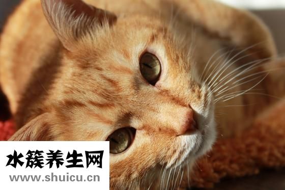 二字大寫怎么寫