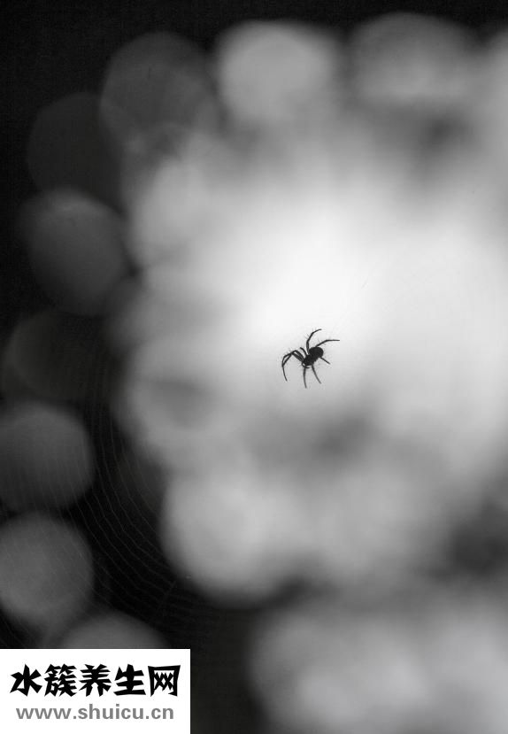 大便黑色是什么原因