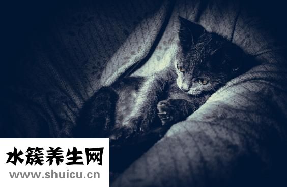 如何恢復近視眼