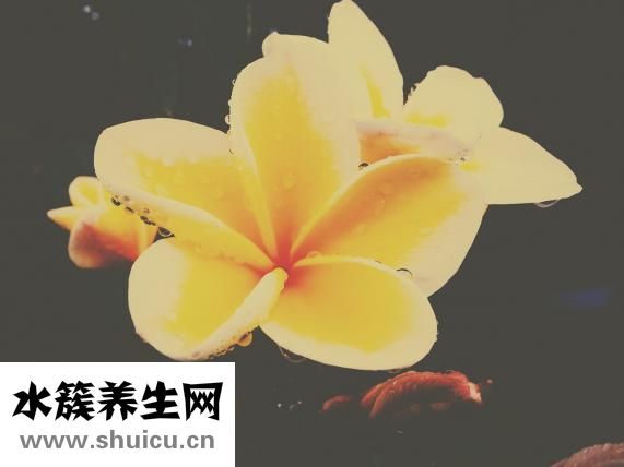 你都如何回憶我