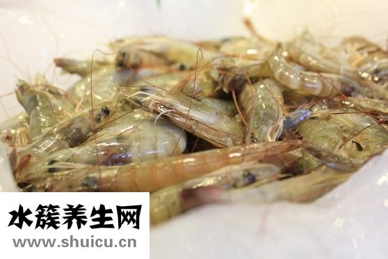 大龍蝦怎么做好吃