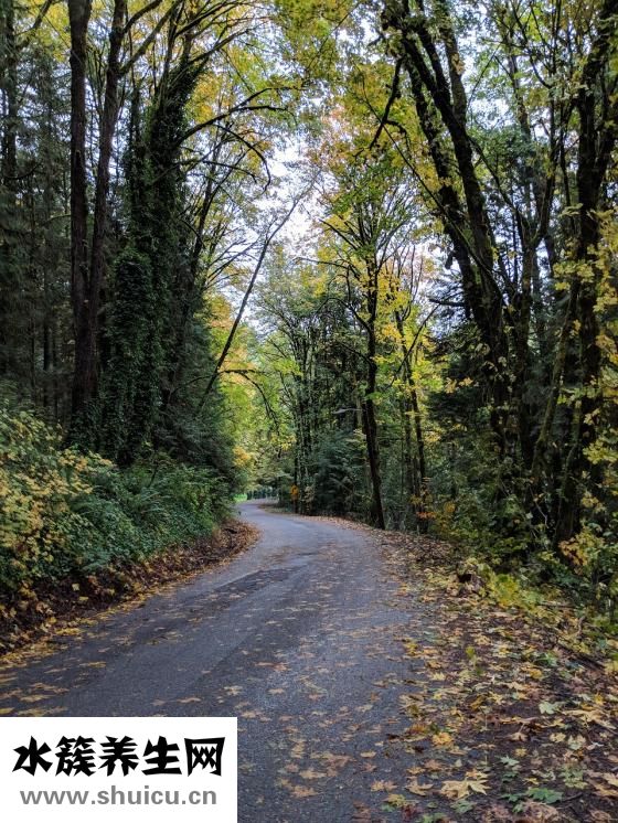 三伏天是什么意思