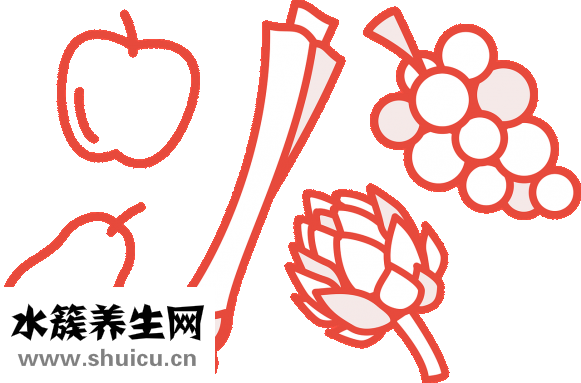 多肉怎么養(yǎng)