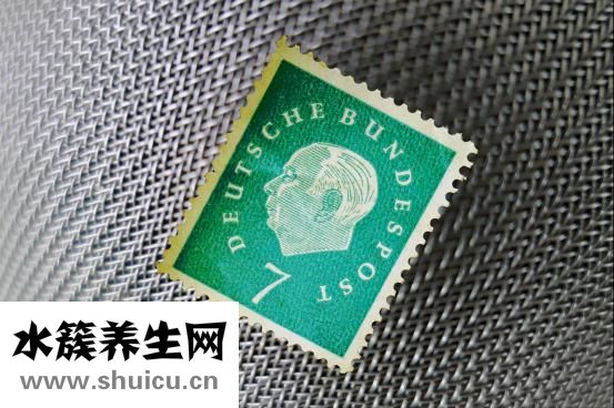 雙眼皮貼怎么貼