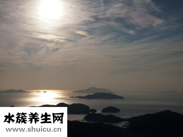 如何快速的減肥