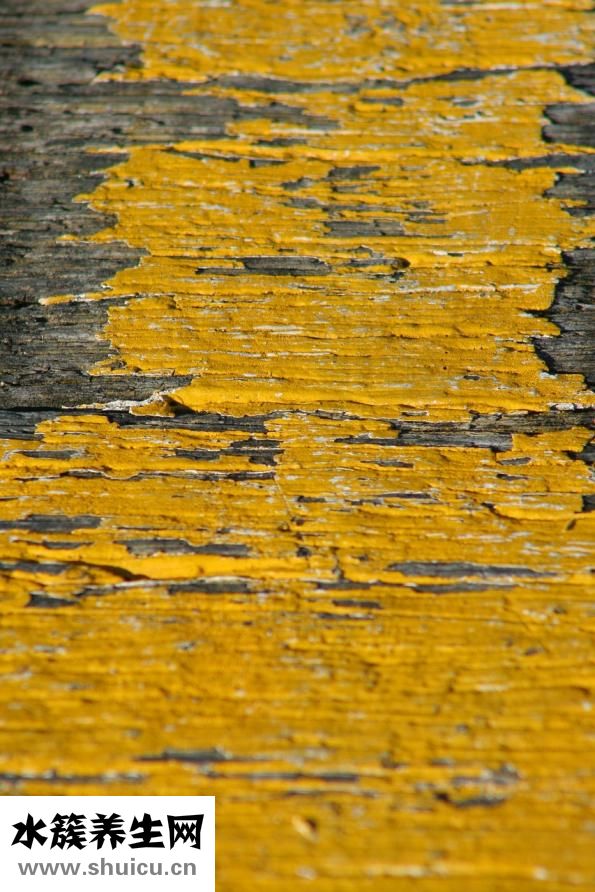 嗓子癢咳嗽吃什么藥