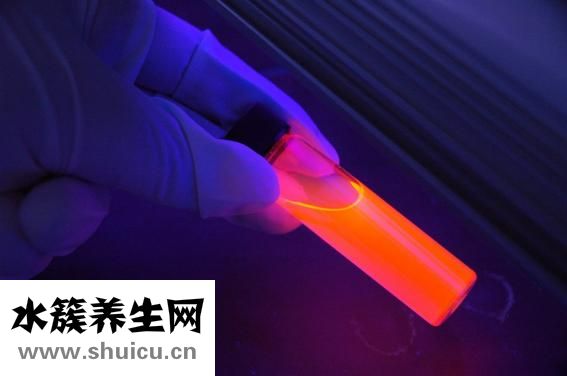 口是心非是什么意思