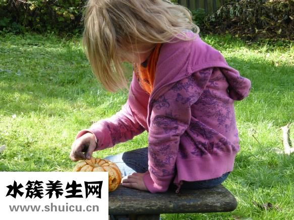 寶寶發(fā)燒怎么辦