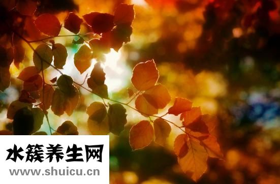 產(chǎn)后如何瘦肚子