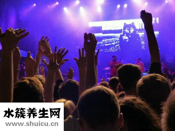 家里養什么魚好