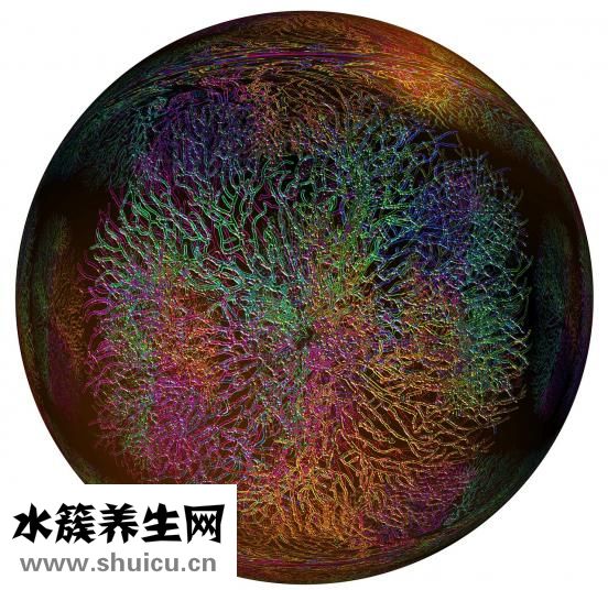 孩子不上學怎么辦