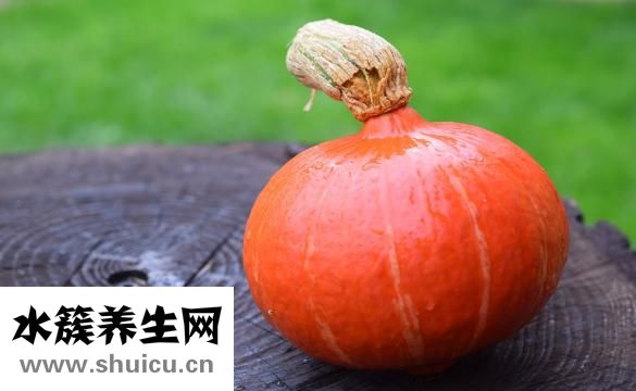 多肉怎么養(yǎng)